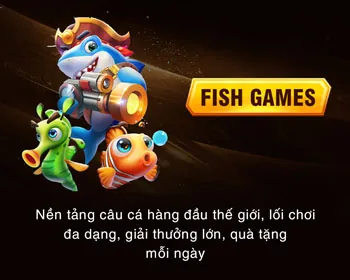 Chính sách công bằng E28VN